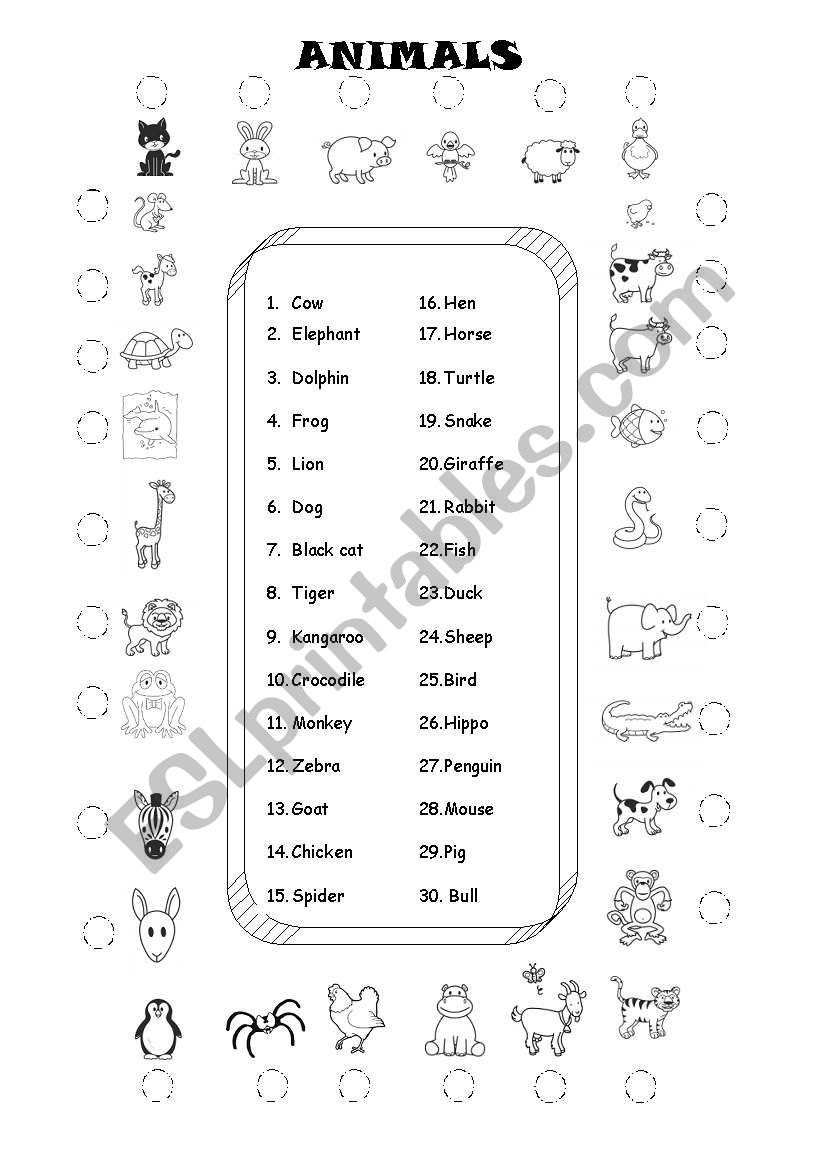 Animals worksheet