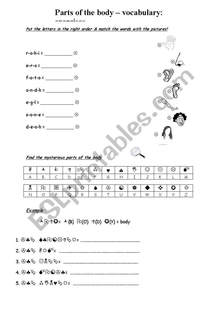 Parts of the body - exercises worksheet