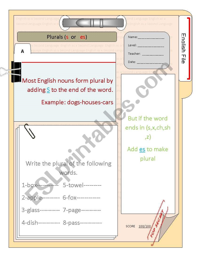 plural worksheet
