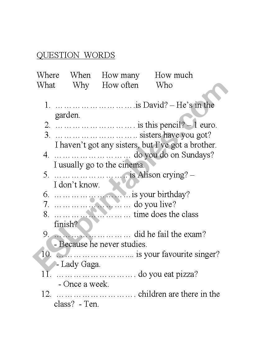 questions words worksheet