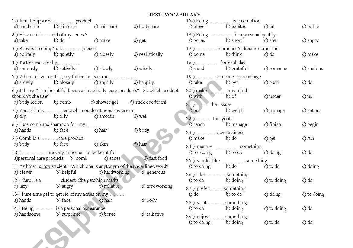 Vocabulary Test worksheet