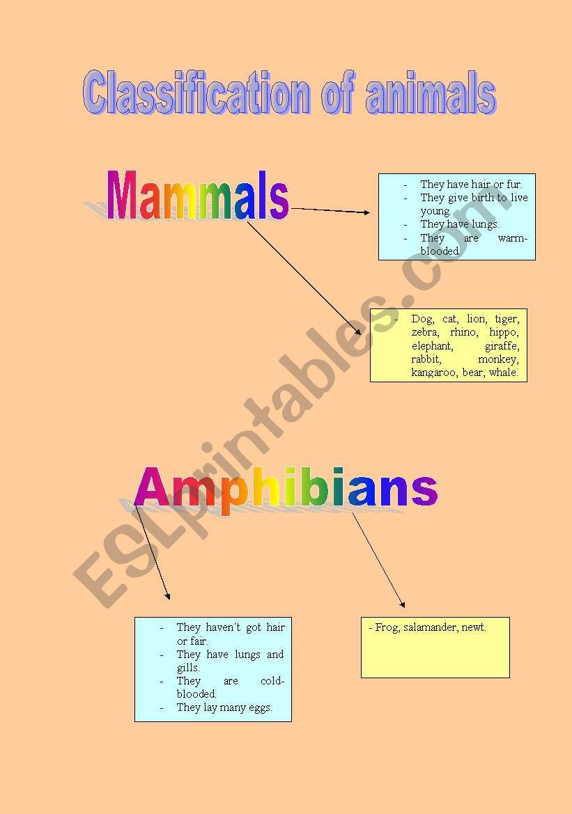 Classification of animals worksheet