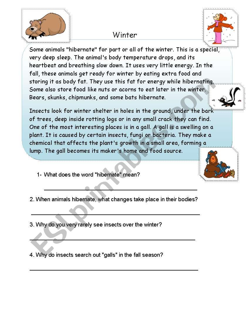 WINTER (READING) worksheet