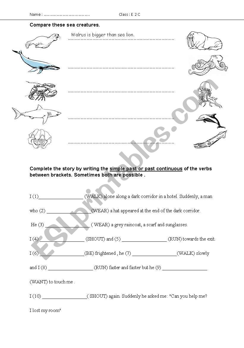 sea creatures worksheet