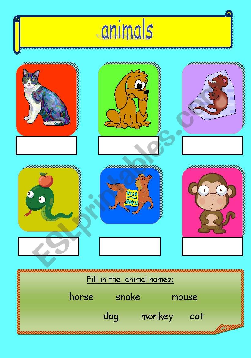 animals worksheet