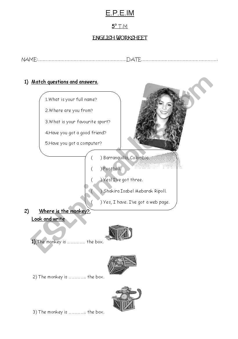 Diagnostic test worksheet