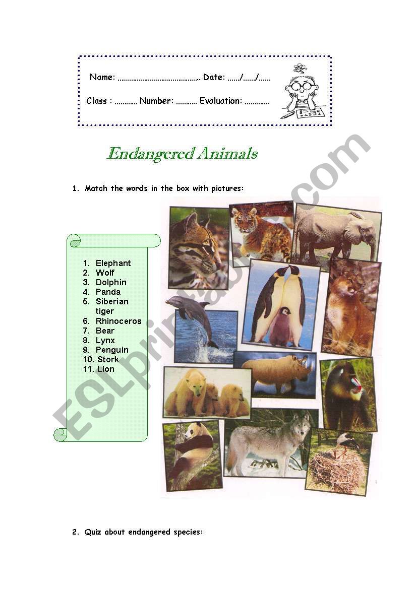 Endangered Animals worksheet