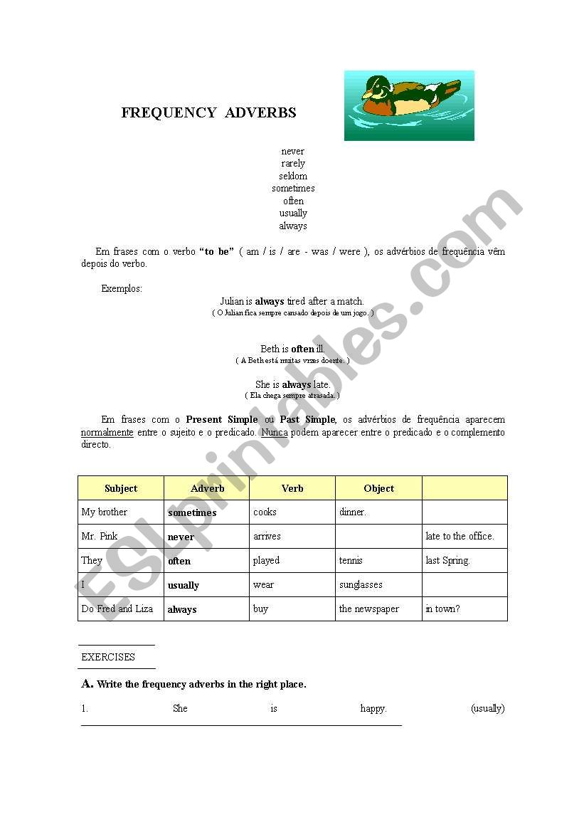 Frequency Adverbs worksheet