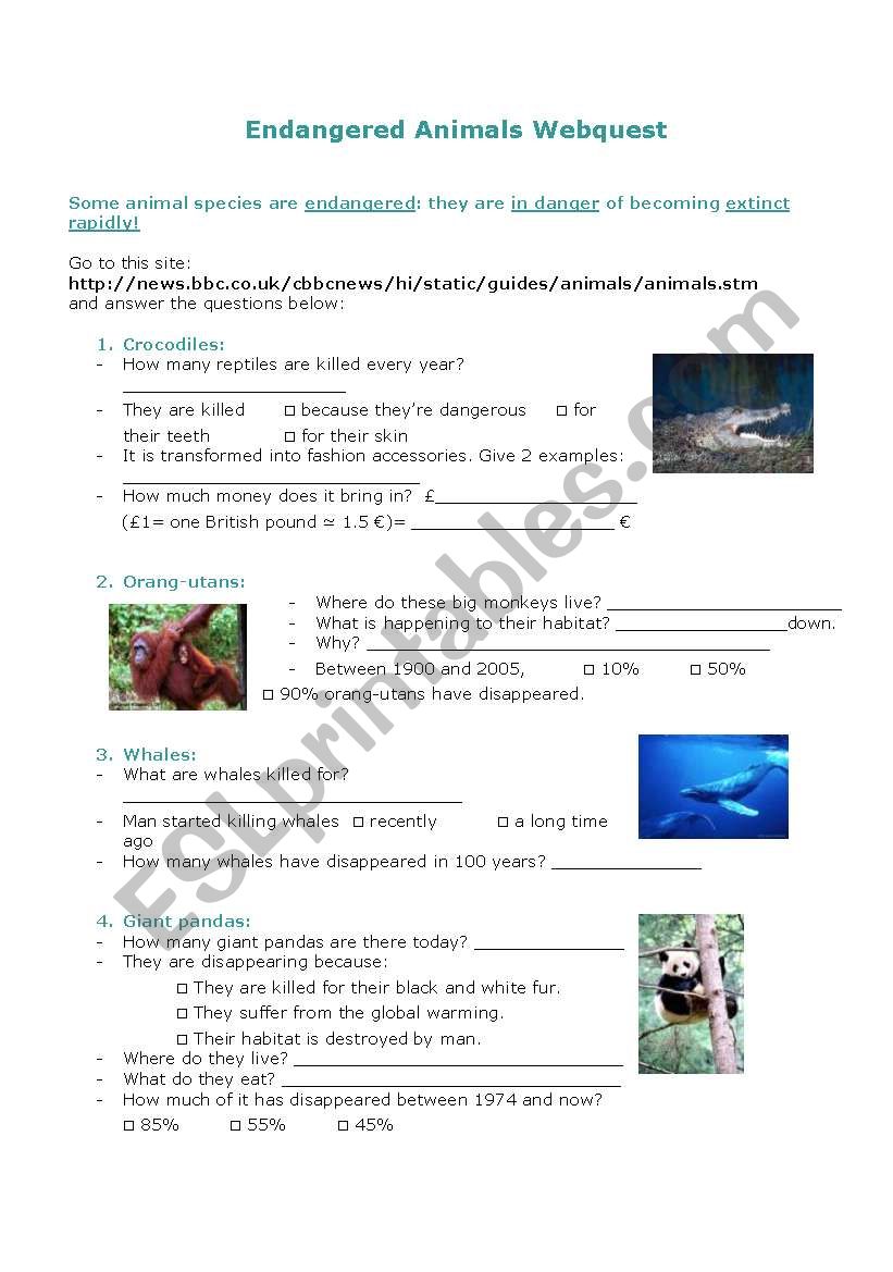 Endangered animals worksheet