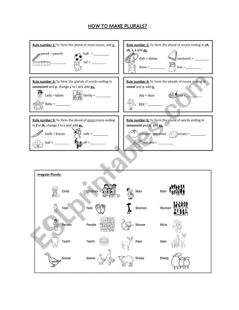 Rules to form plurals and exercises