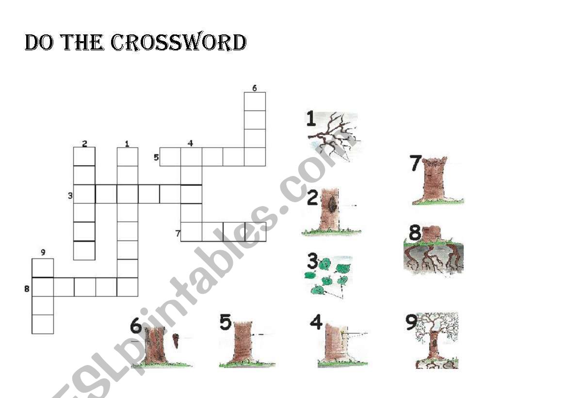 tree parts worksheet