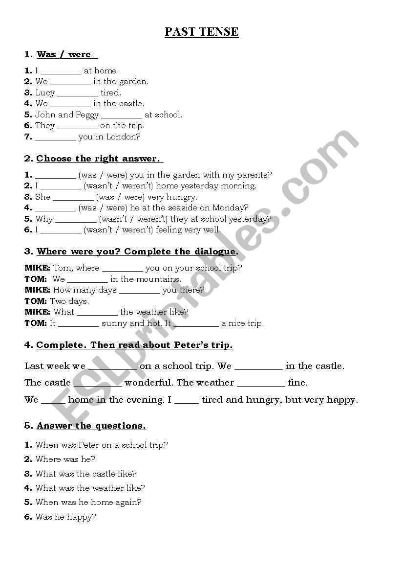 special work on simple past worksheet