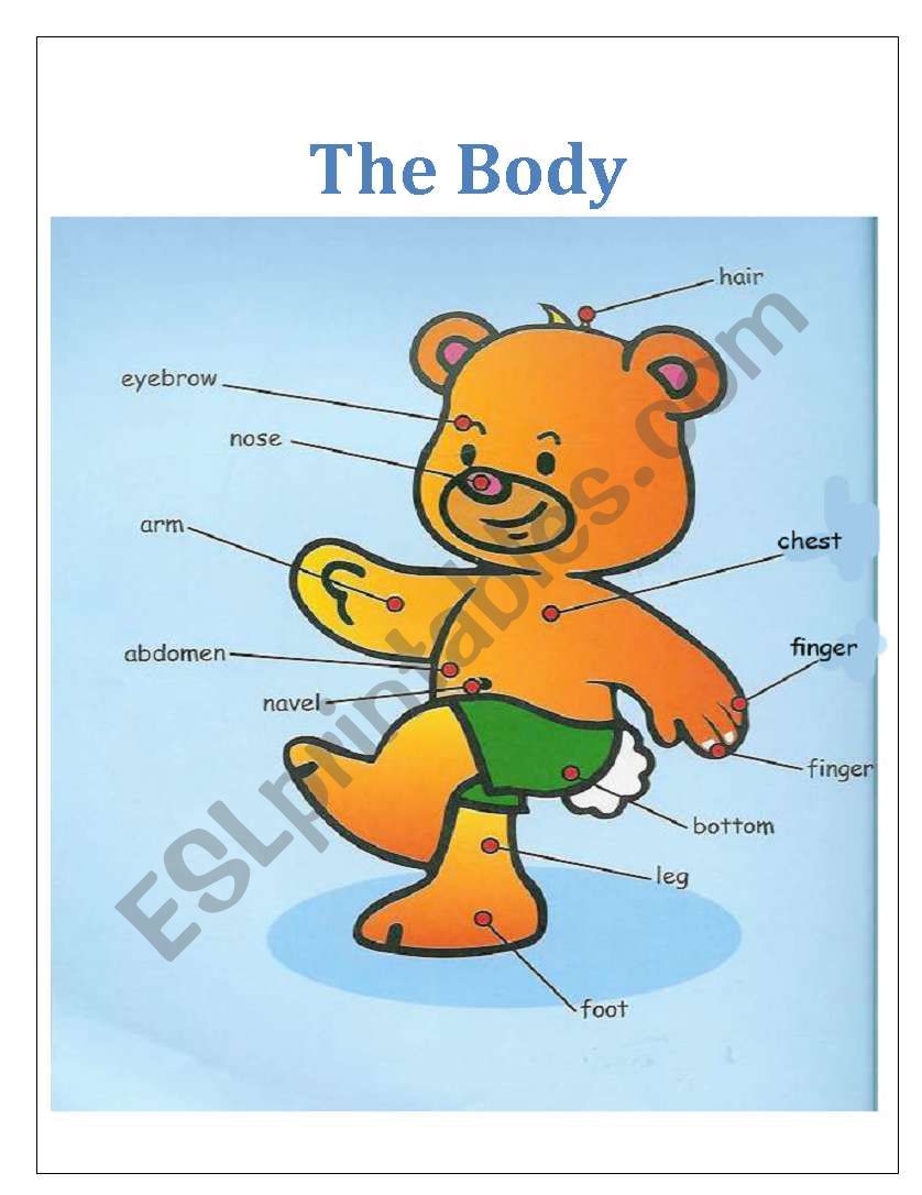 Body Parts 2 worksheet