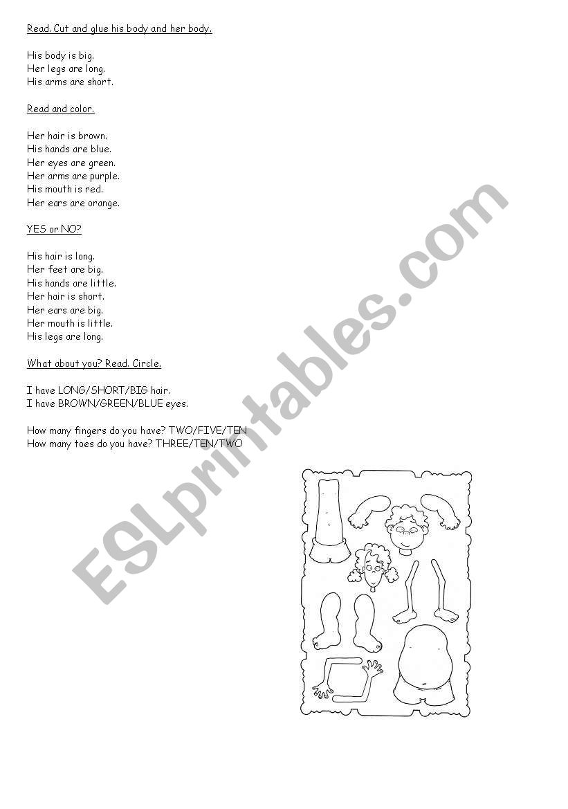 Parts of the Body worksheet