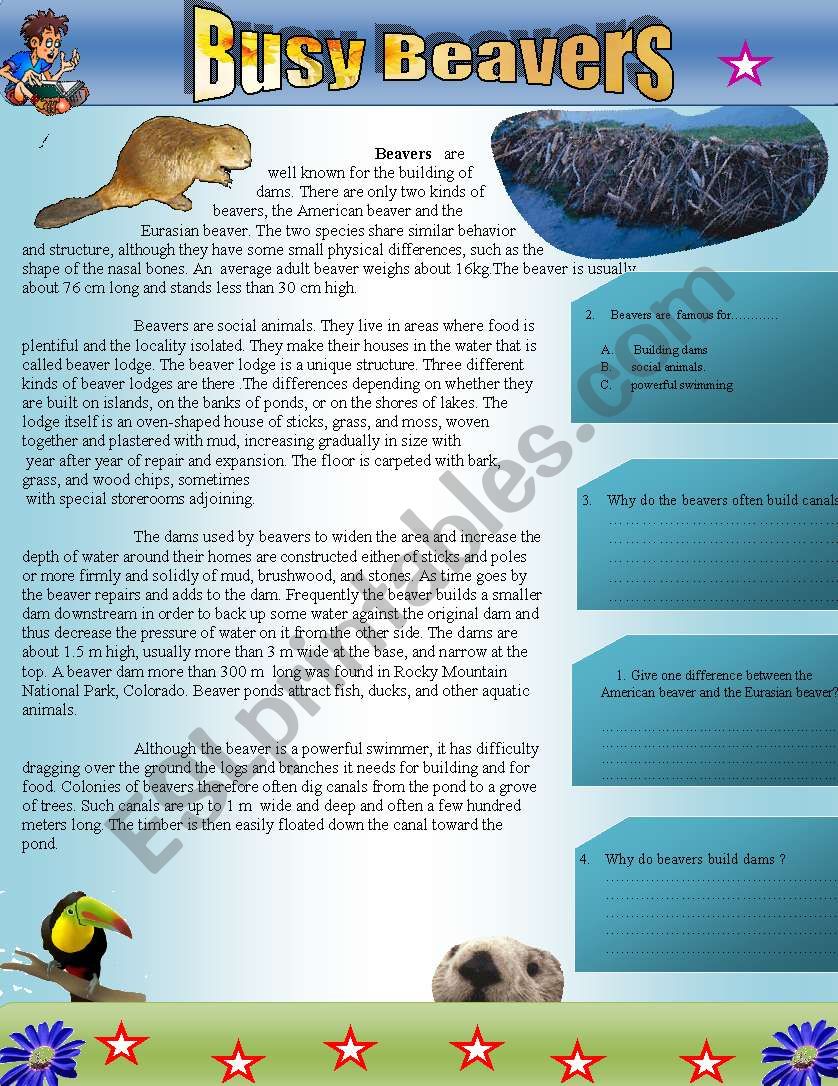 Kindergarten Worksheet About Beavers