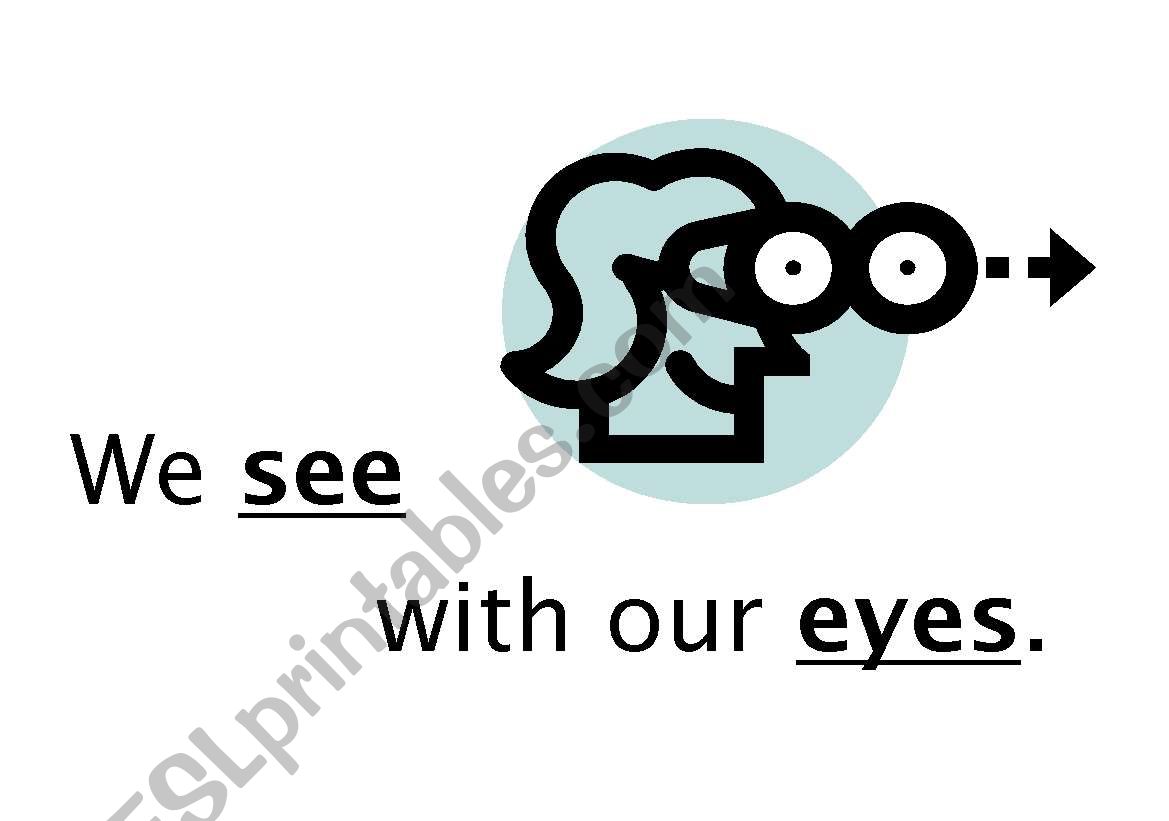 Five Senses Flashcards worksheet