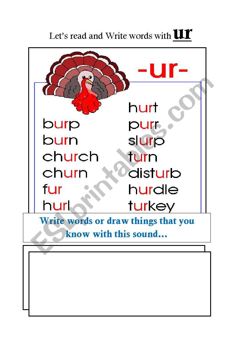 UR sound in English worksheet