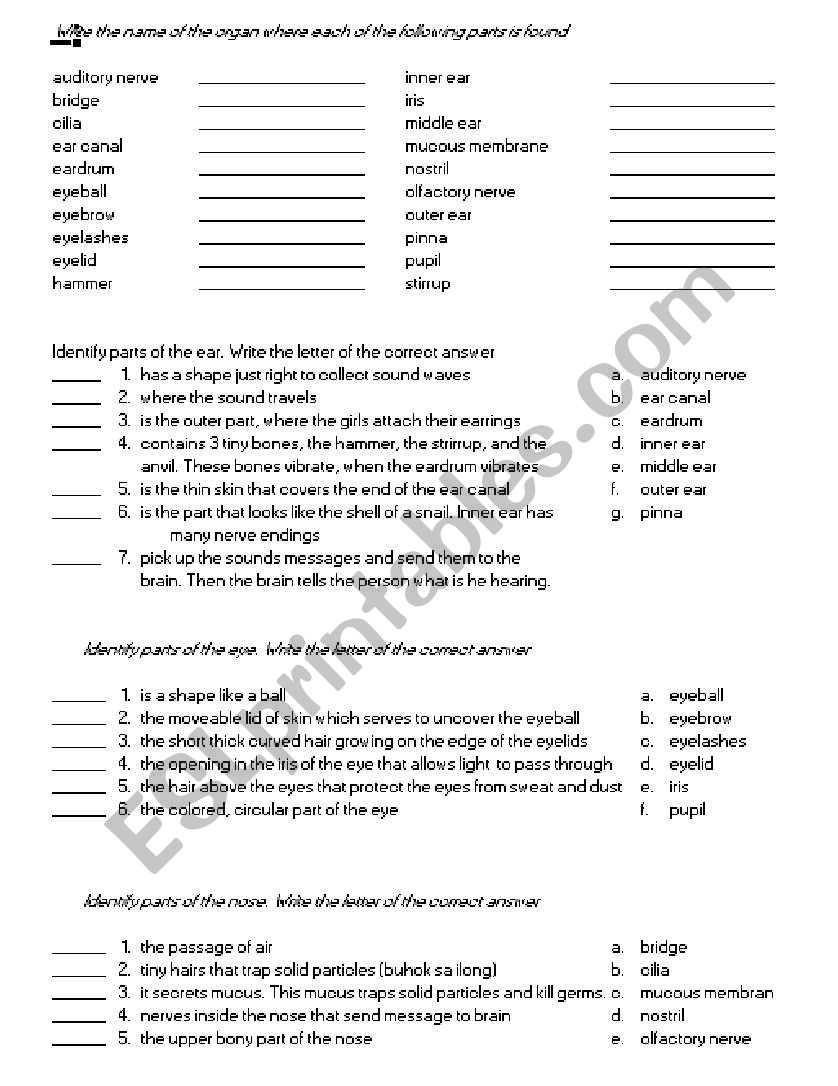 Parts of the nose, eyes and ears worksheet