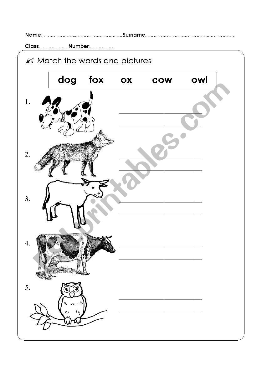 animal worksheet