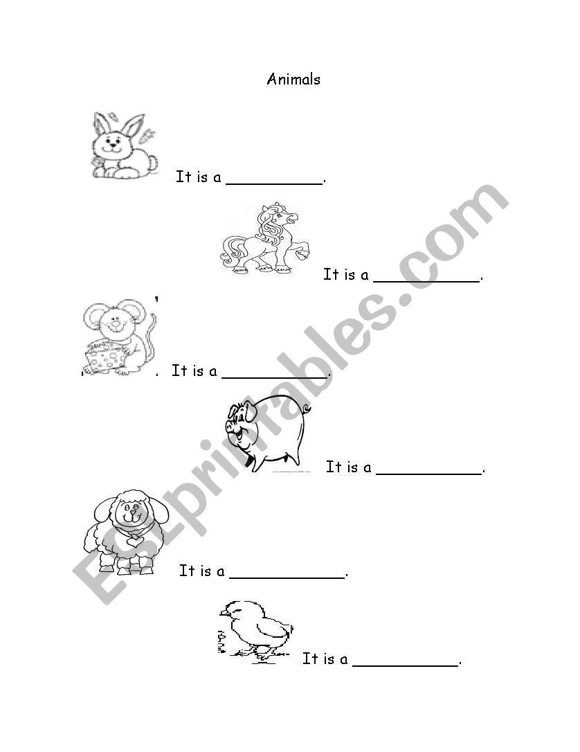 Animals worksheet