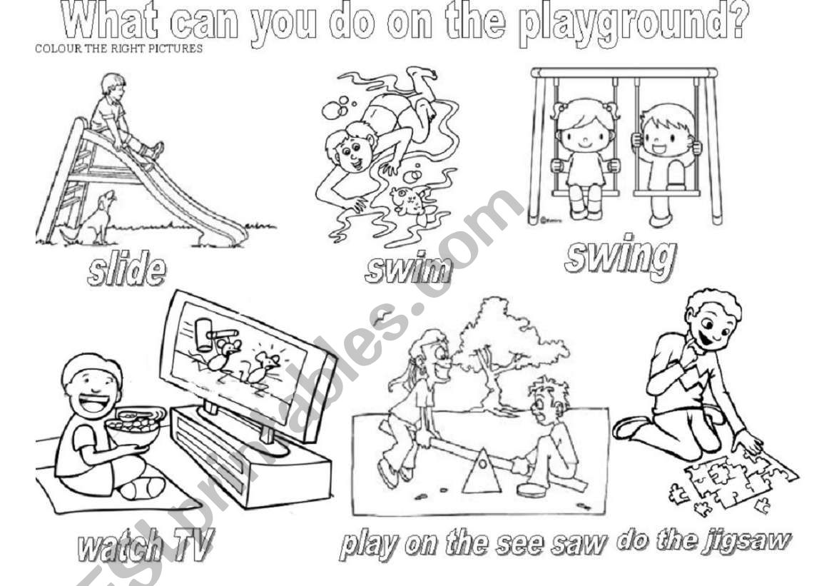 What can you do on the playground