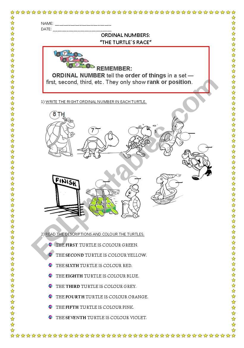 THE TURTLESRACE worksheet