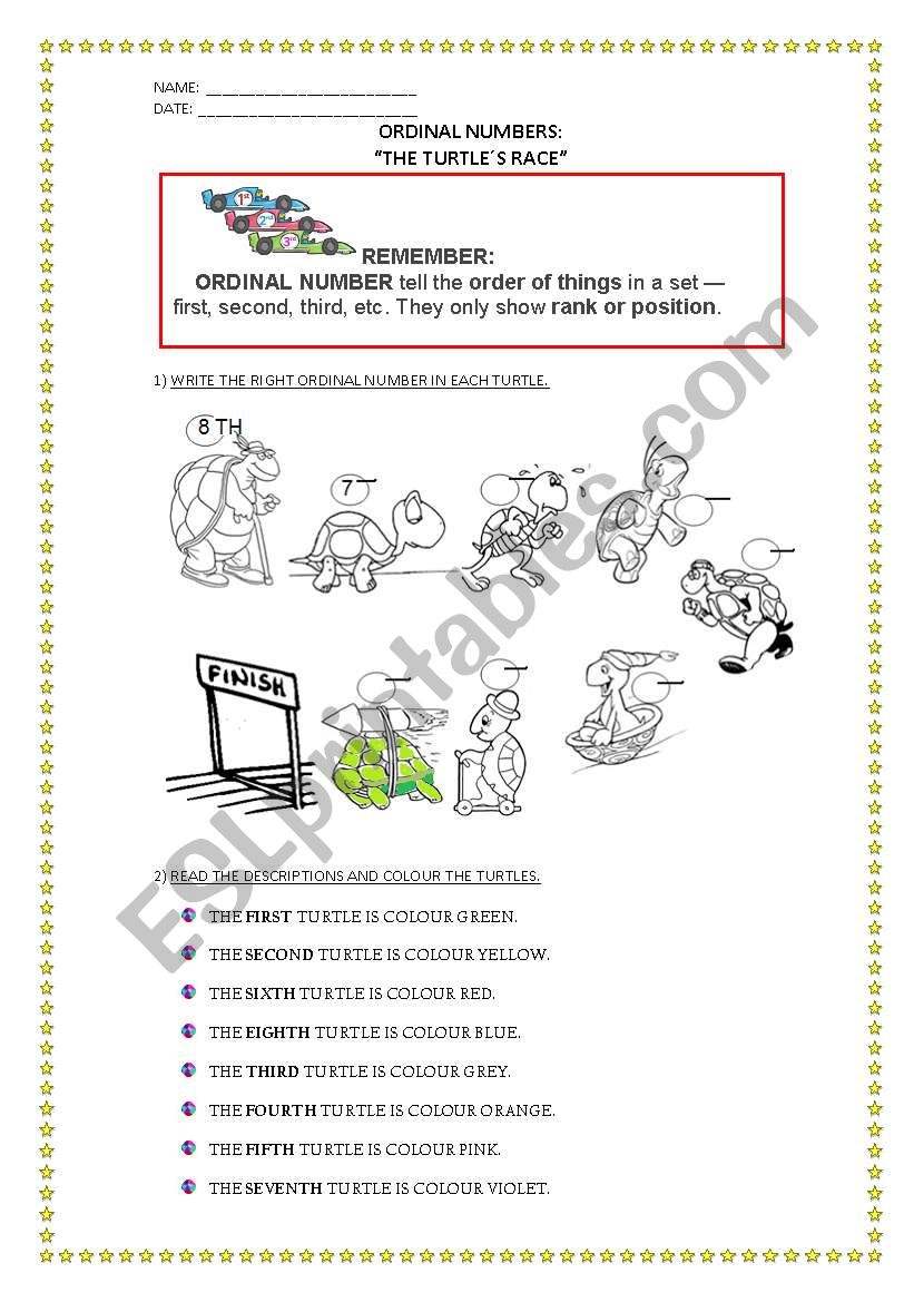 THE TURTLESÂ´RACE worksheet