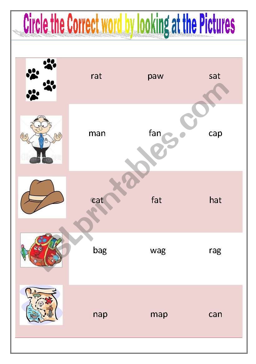 identify correct word worksheet