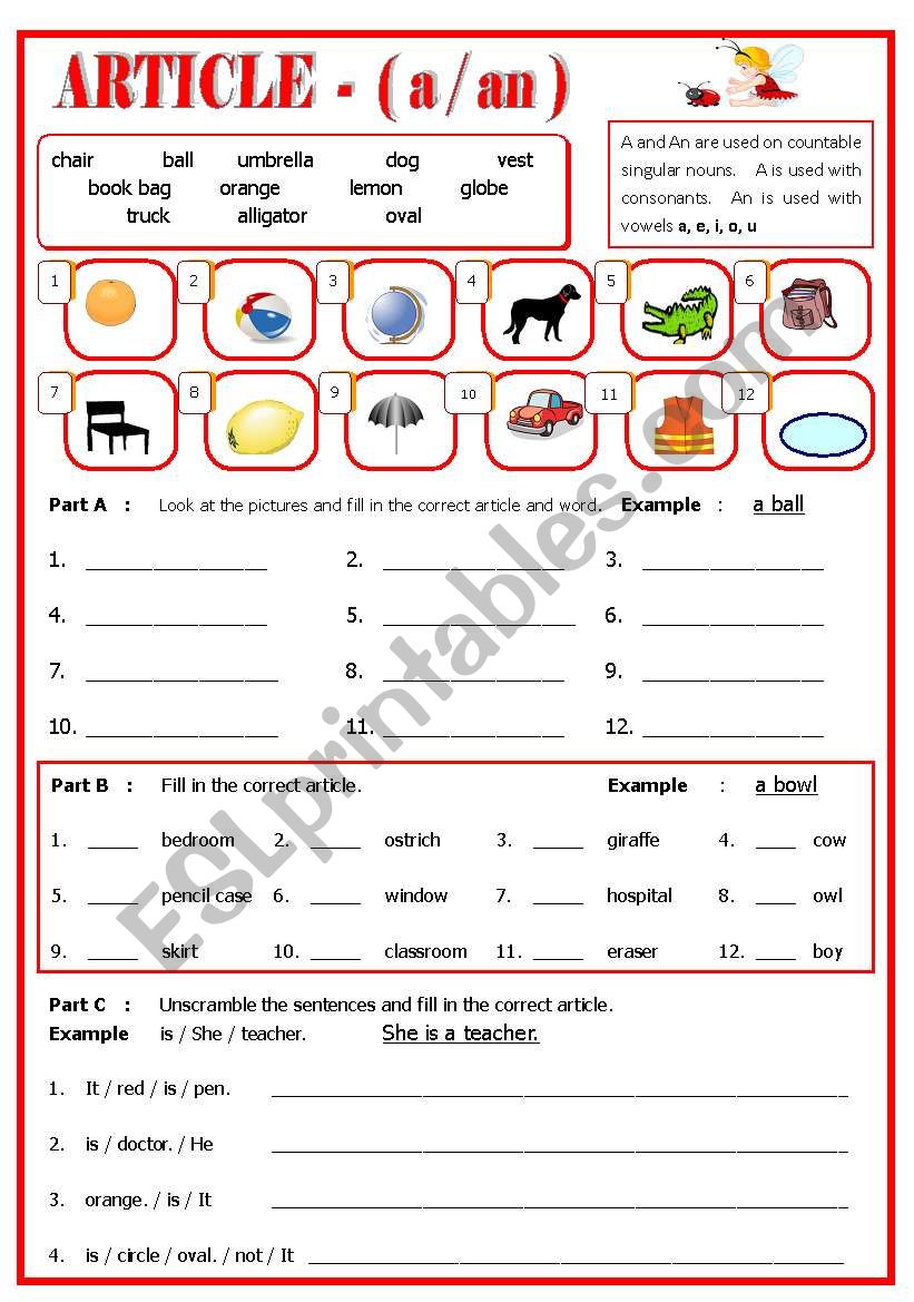 Article - a / an worksheet