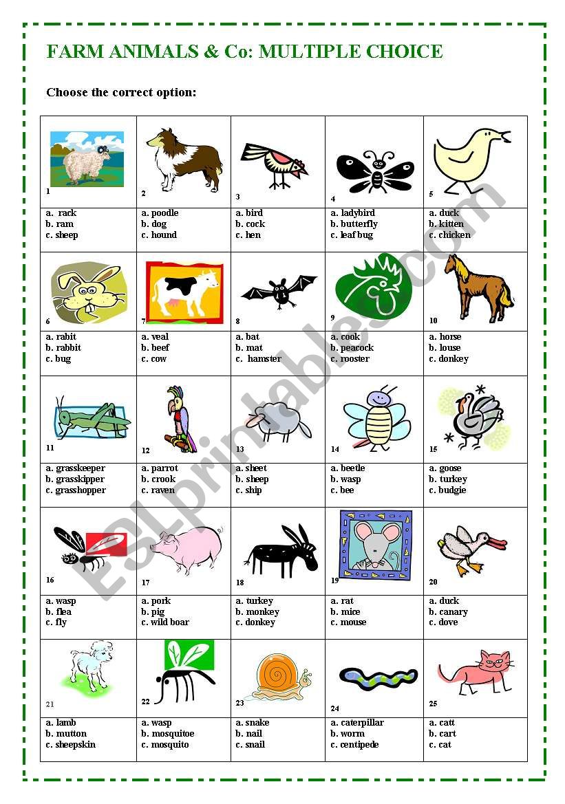 Farm animals & Co: Multiple choice