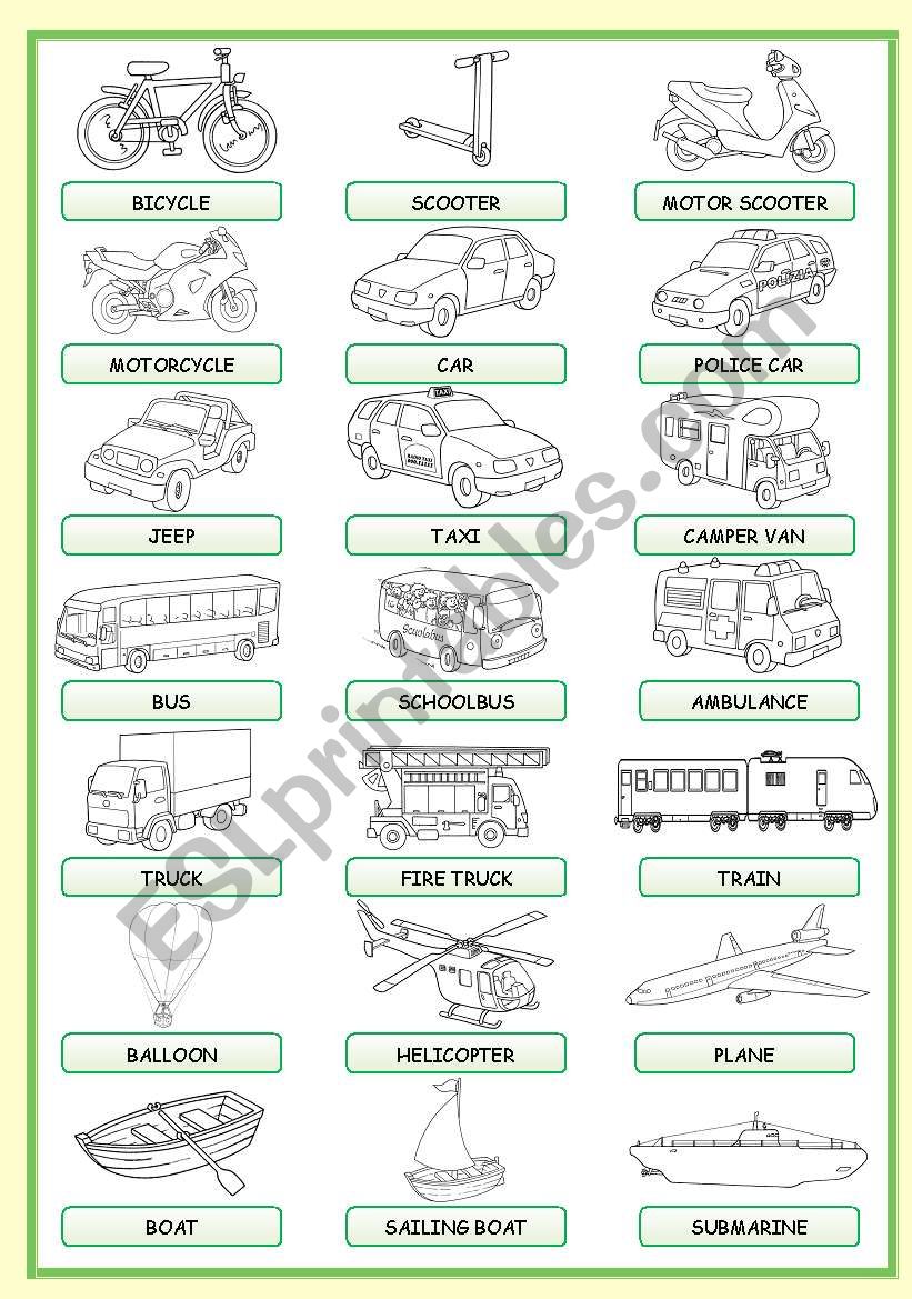 MEANS OF TRANSPORT PICTIONARY worksheet