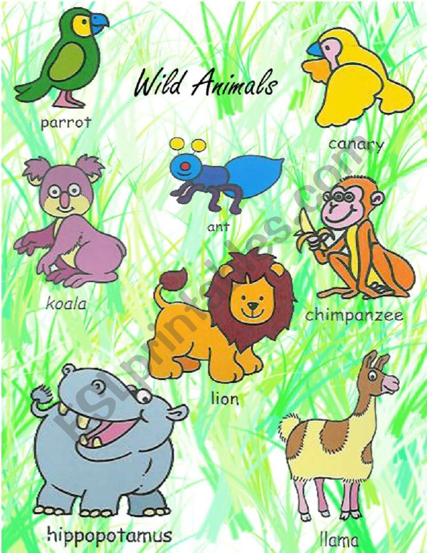 Animals Pictionary 1 worksheet