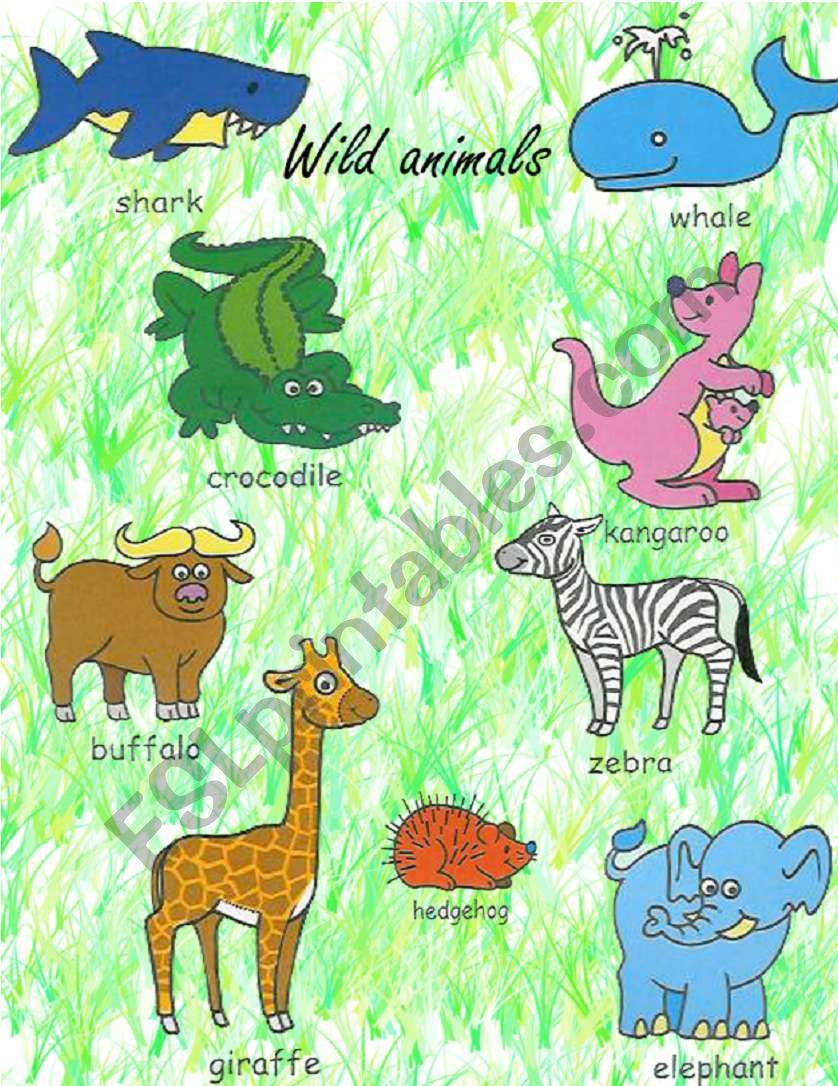 Animals Pictionary 2 worksheet