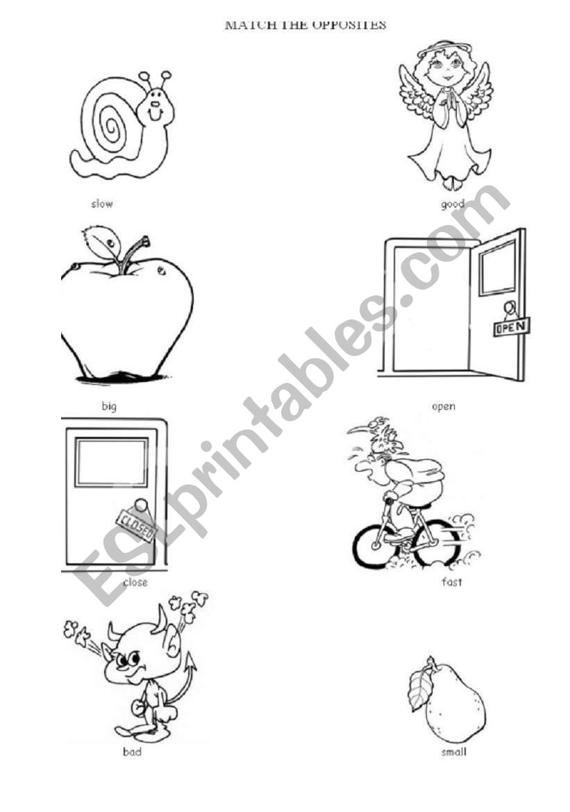 The opposites worksheet