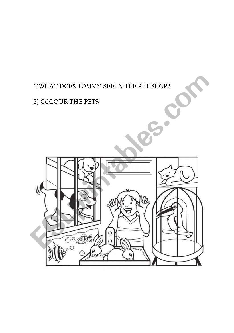 Pets in the shop worksheet