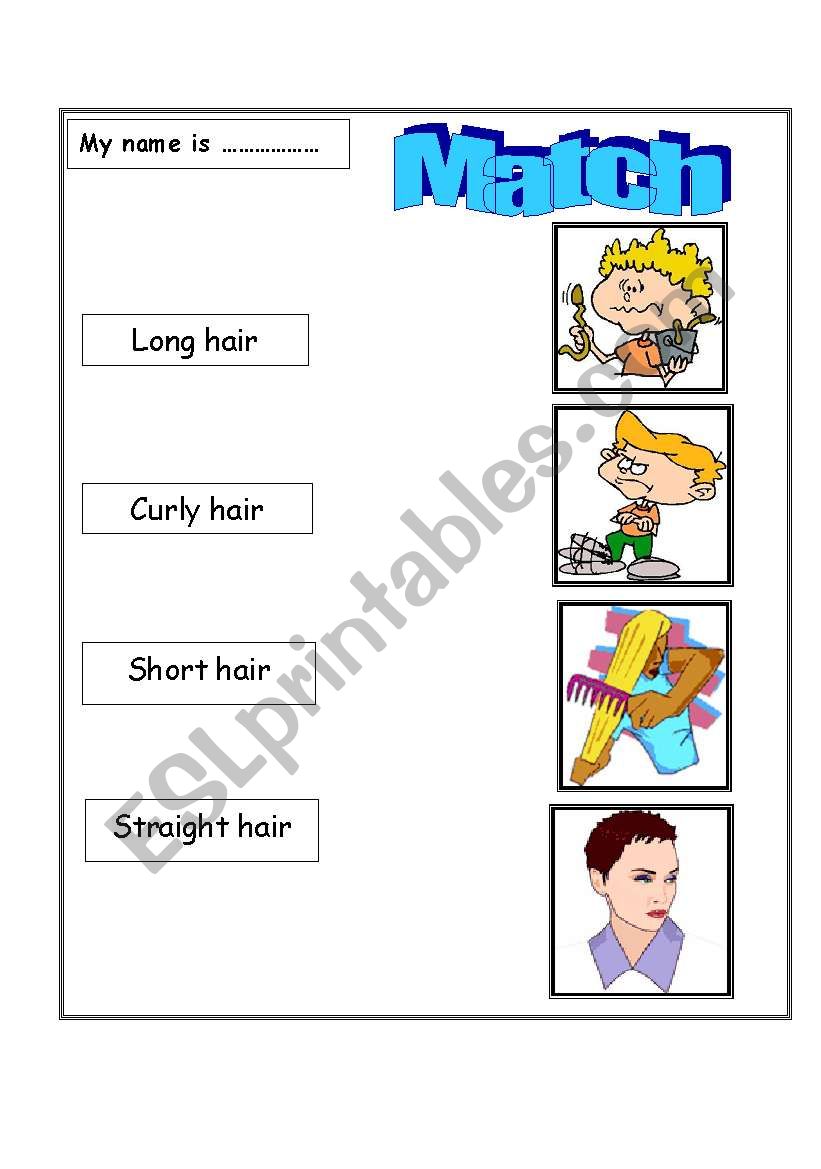 my hair worksheet