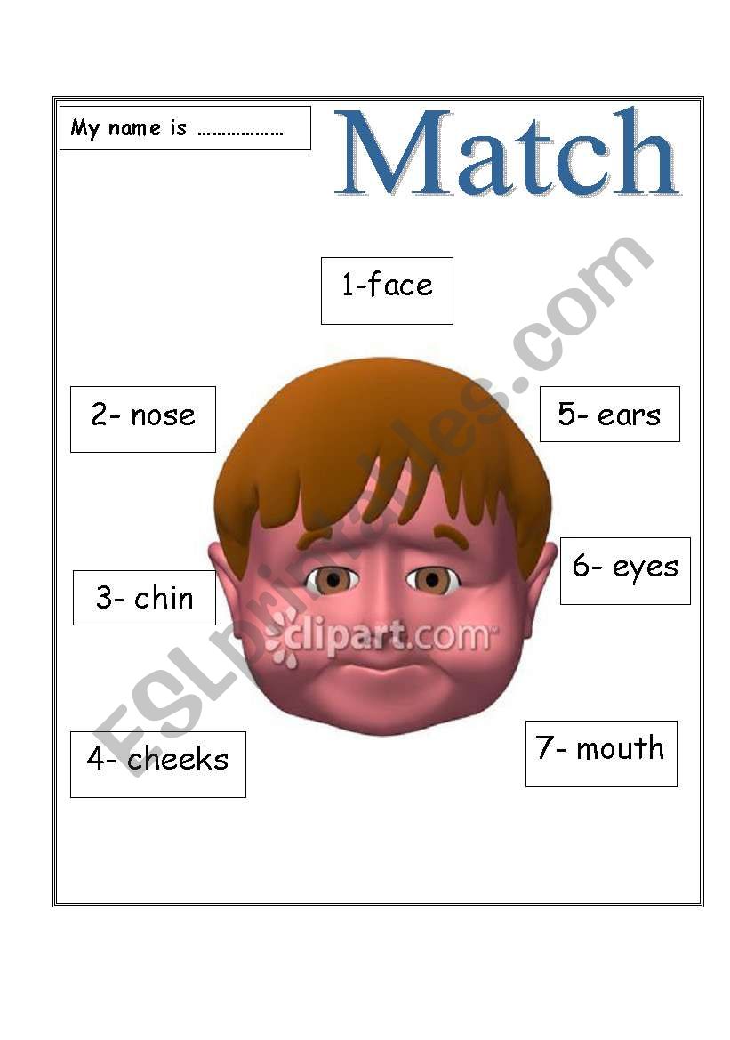 my face worksheet