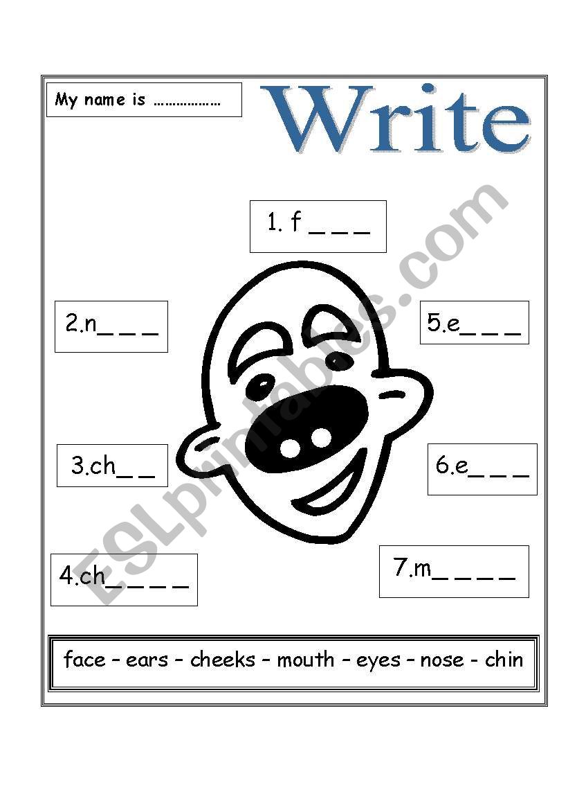 my face worksheet