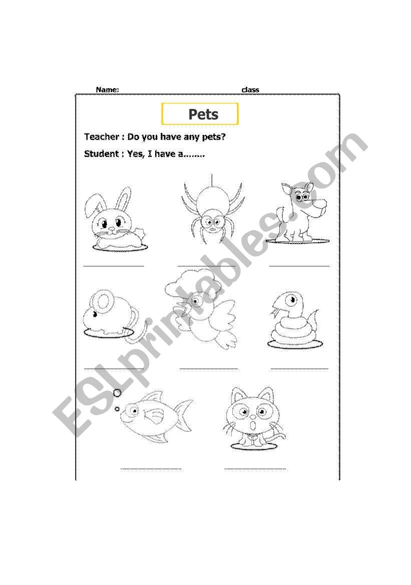 Pets worksheet