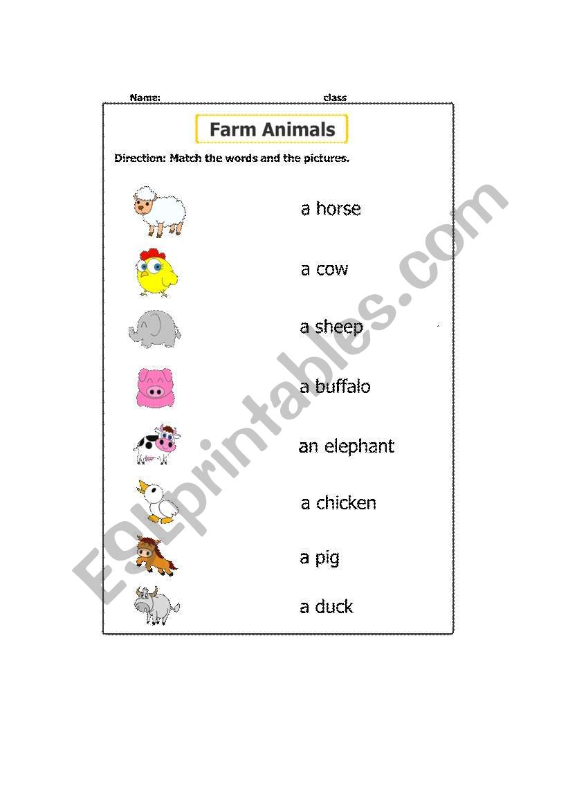 Animals worksheet