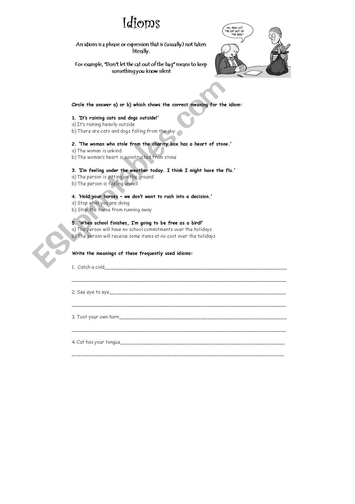 Idioms worksheet