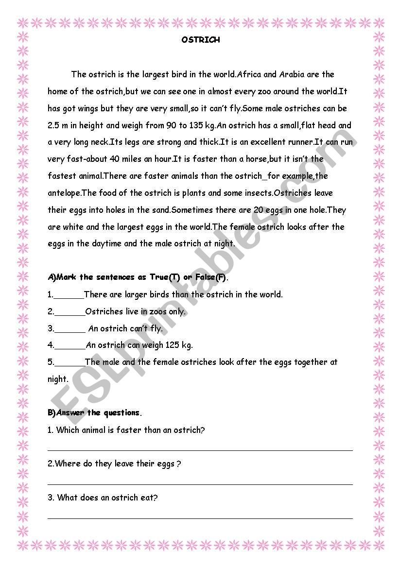 Reading Text -Ostrich worksheet