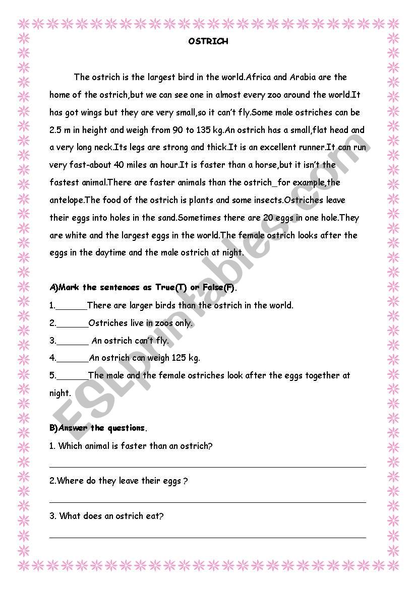 Reading Text -Ostrich worksheet