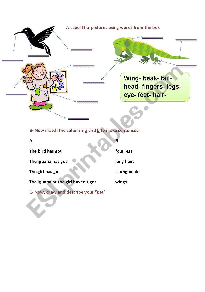 parts of the body worksheet