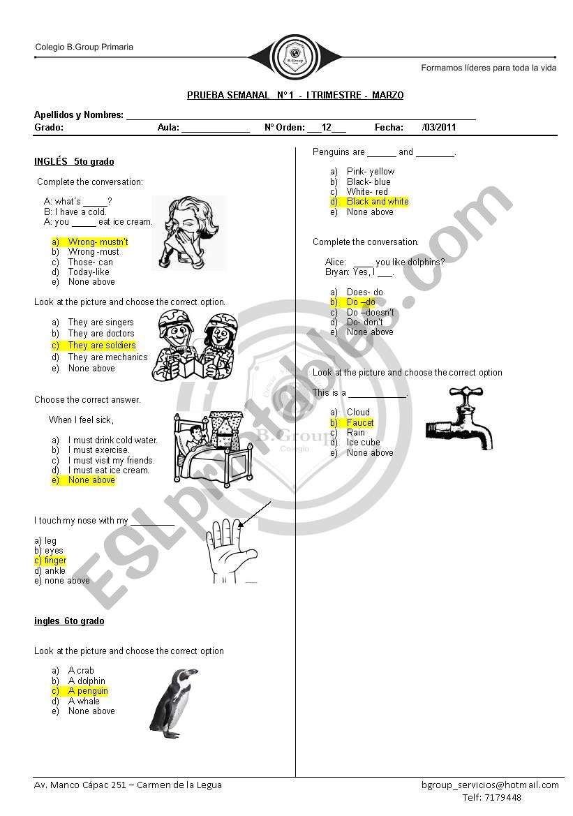 quiz of vocabulary worksheet