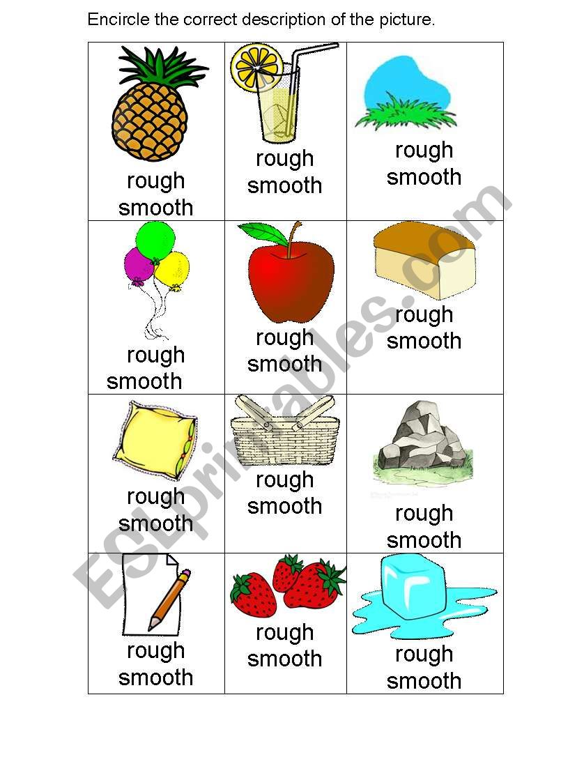 Rough and Smooth worksheet