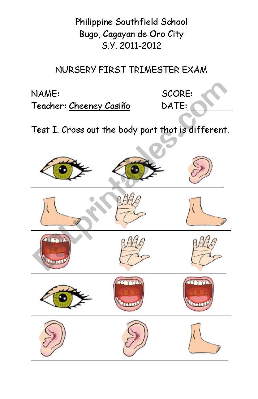 part of the body worksheet