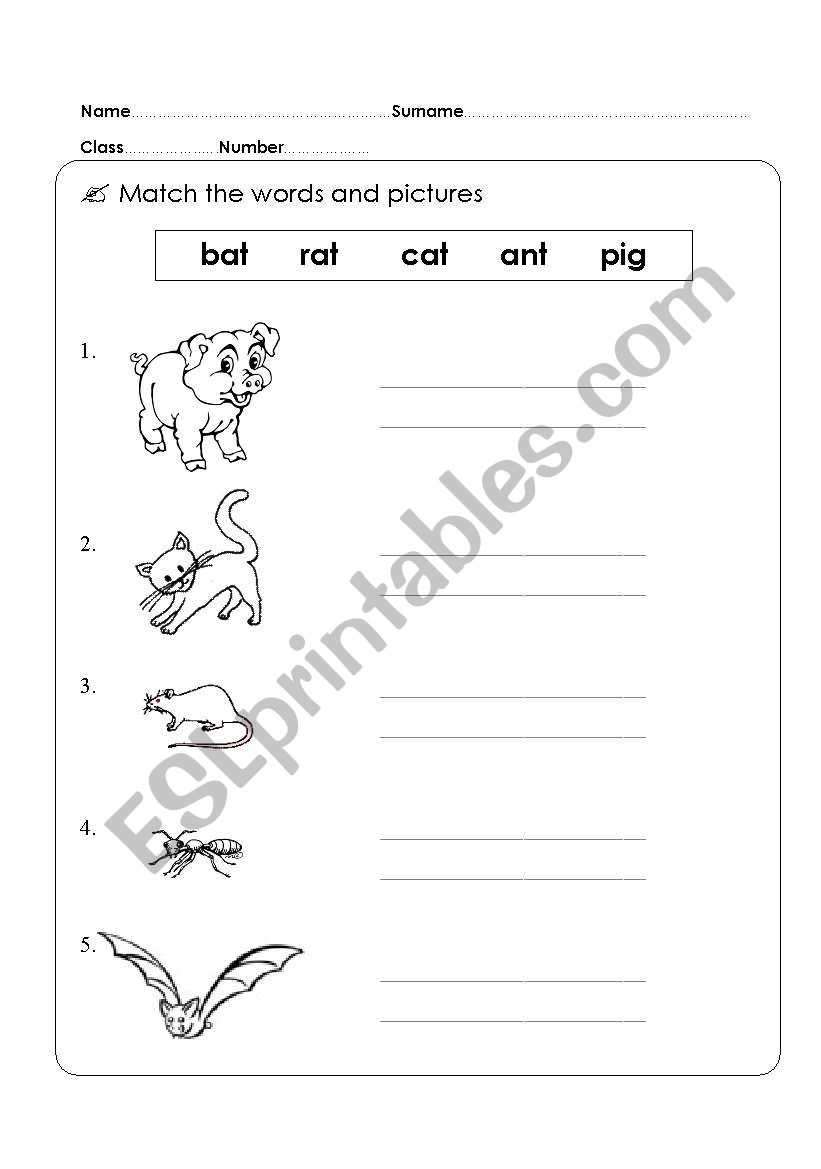 animal Kid worksheet