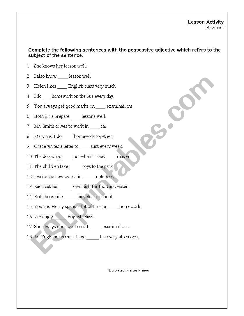 Possessive Adjective worksheet