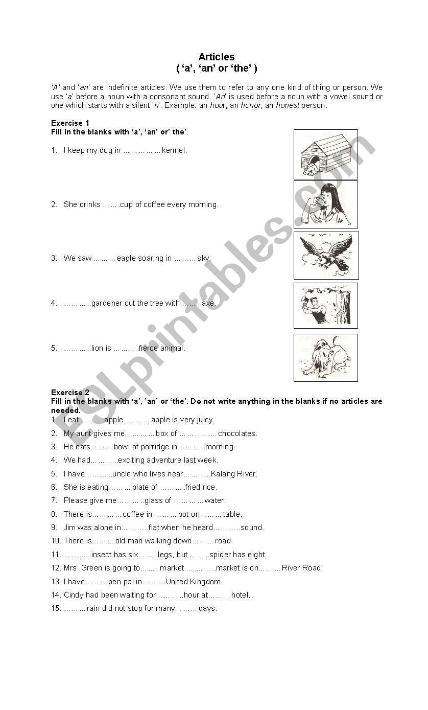 article worksheet